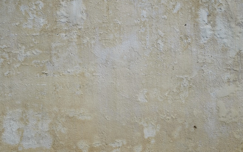 Fassadenreinigung vorher — Pilzbefall an Fassade