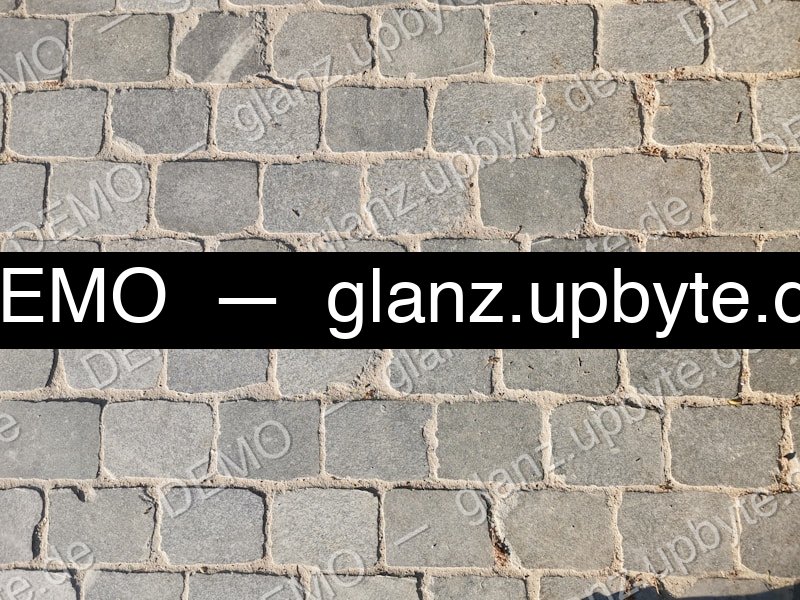 Pflastersteine sauber