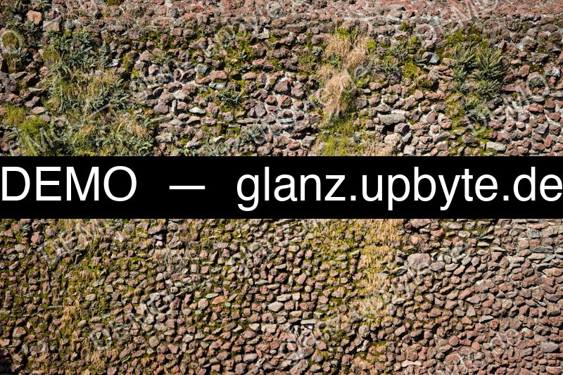 Steinreinigung vorher — verschmutzte Pflasterfläche